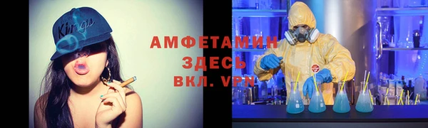 сатива Арсеньев