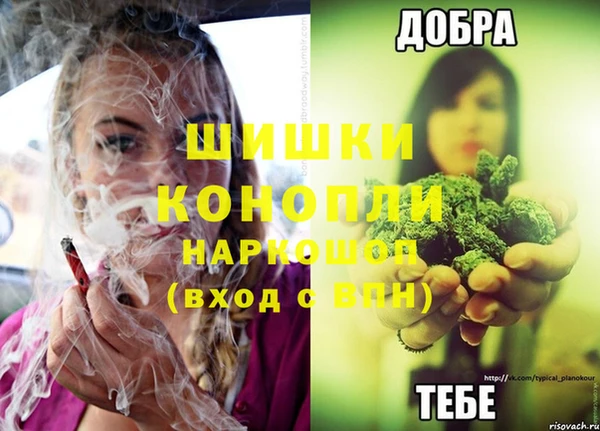 MESCALINE Аркадак