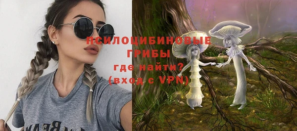Альфа ПВП Армянск