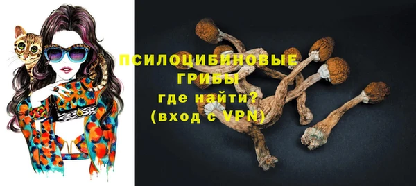 Альфа ПВП Армянск
